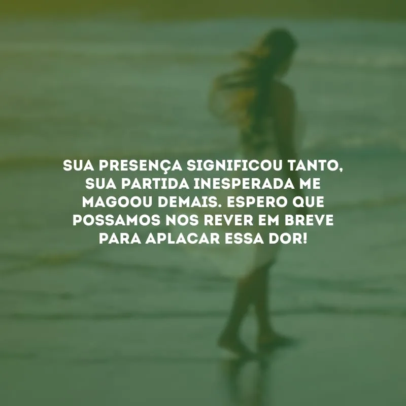 Sua presença significou tanto, sua partida inesperada me magoou demais. Espero que possamos nos rever em breve para aplacar essa dor!