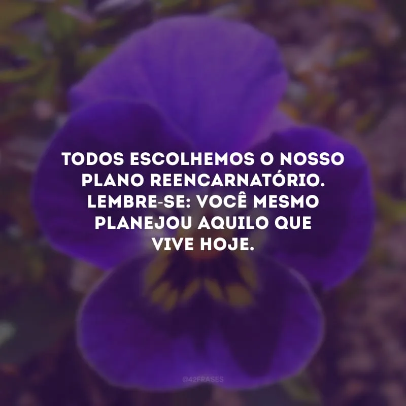 Todos escolhemos o nosso plano reencarnatório. Lembre-se: você mesmo planejou aquilo que vive hoje. 