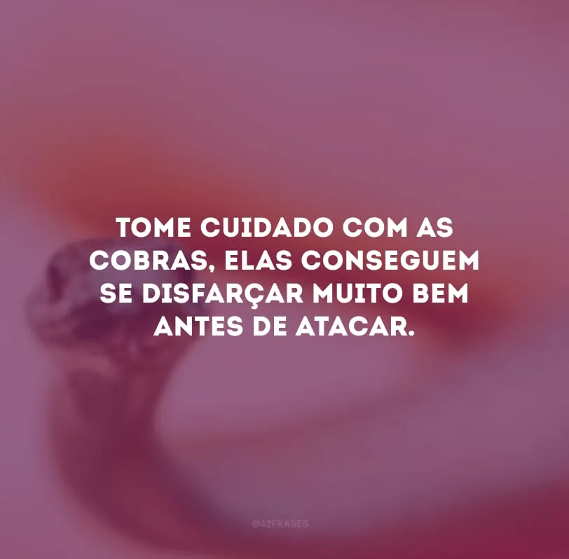 Tome cuidado com as cobras, elas conseguem se disfarçar muito bem antes de atacar.