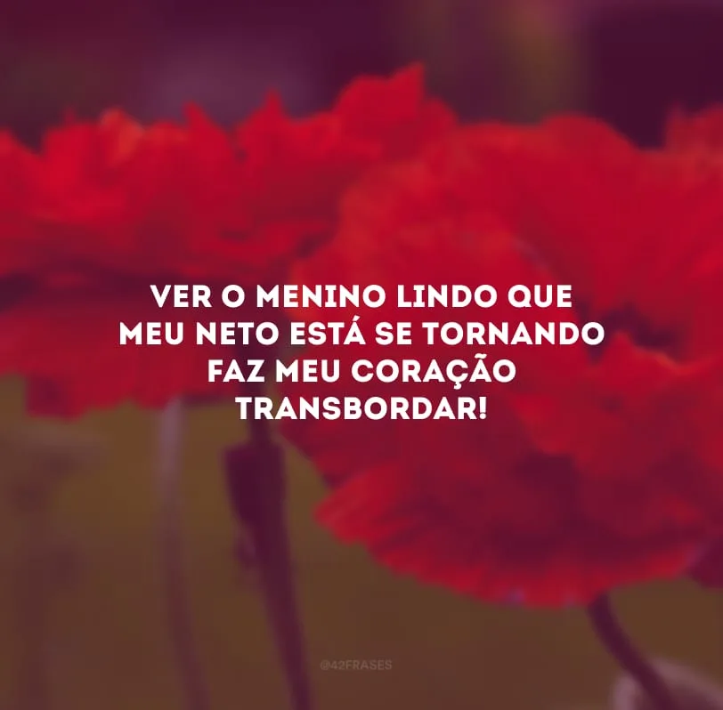 Ver o menino lindo que meu neto está se tornando faz meu coração transbordar!