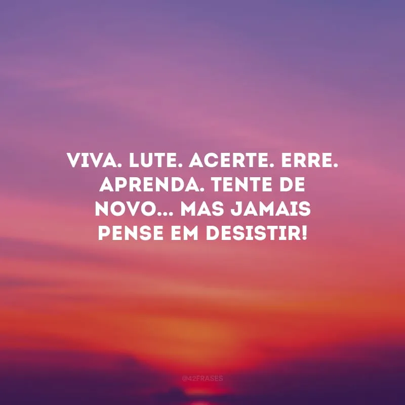 Viva. Lute. Acerte. Erre. Aprenda. Tente de novo... Mas jamais pense em desistir!