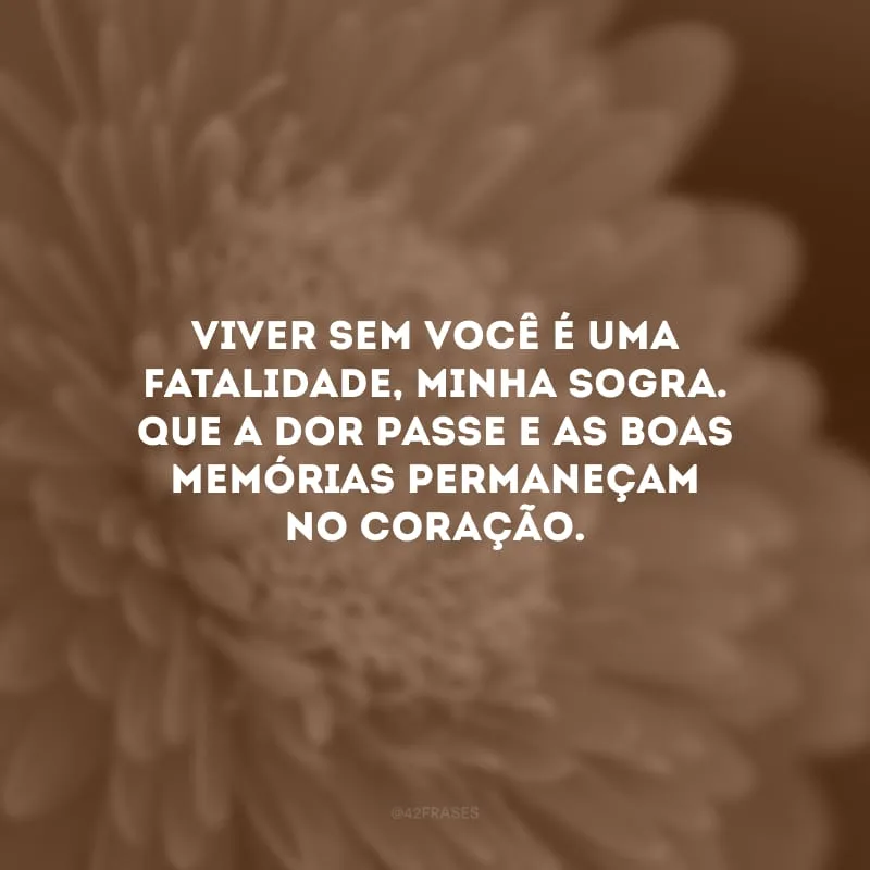 Viver sem você é uma fatalidade, minha sogra. Que a dor passe e as boas memórias permaneçam no coração.