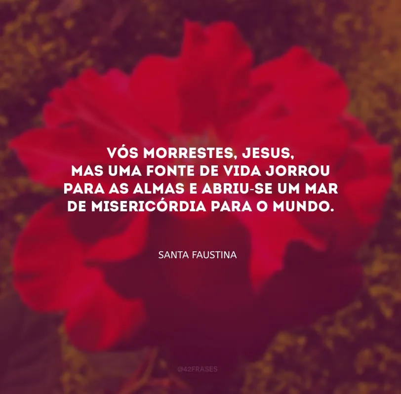 Vós morrestes, Jesus, mas uma fonte de vida jorrou para as almas e abriu-se um mar de misericórdia para o mundo.