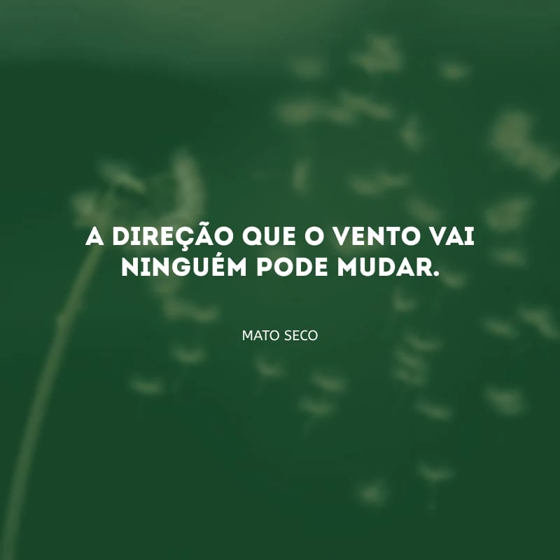 A direção que o vento vai ninguém pode mudar.