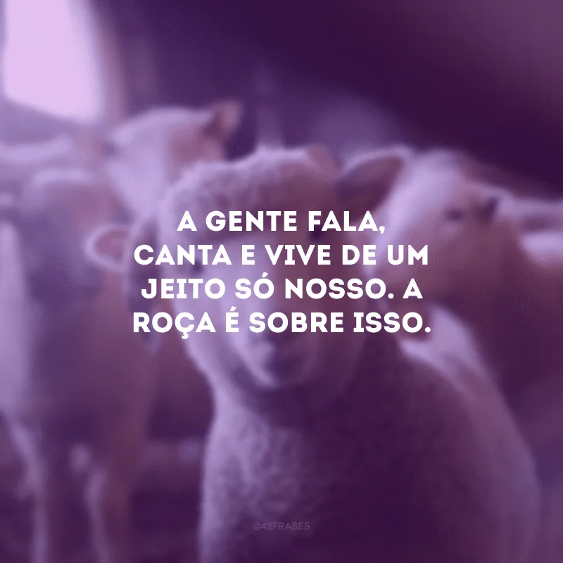 A gente fala, canta e vive de um jeito só nosso. A roça é sobre isso.