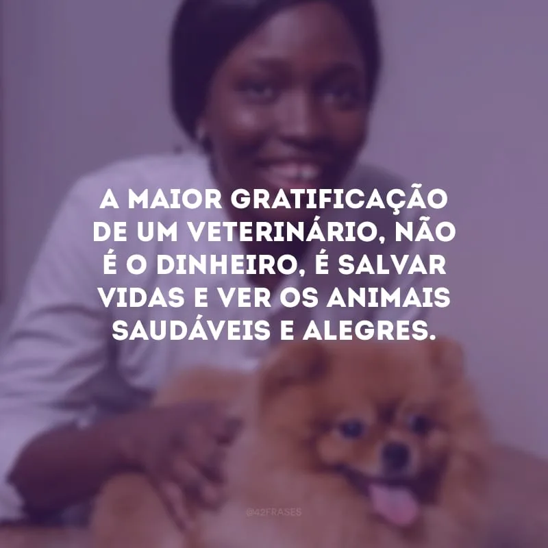 A maior gratificação de um veterinário, não é o dinheiro, é salvar vidas e ver os animais saudáveis e alegres. 