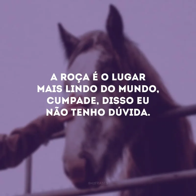 A roça é o lugar mais lindo do mundo, cumpade, disso eu não tenho dúvida.