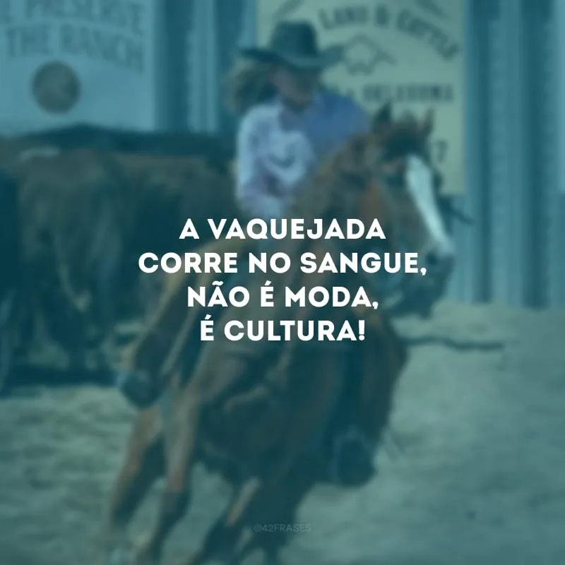 A vaquejada corre no sangue, não é moda, é cultura!