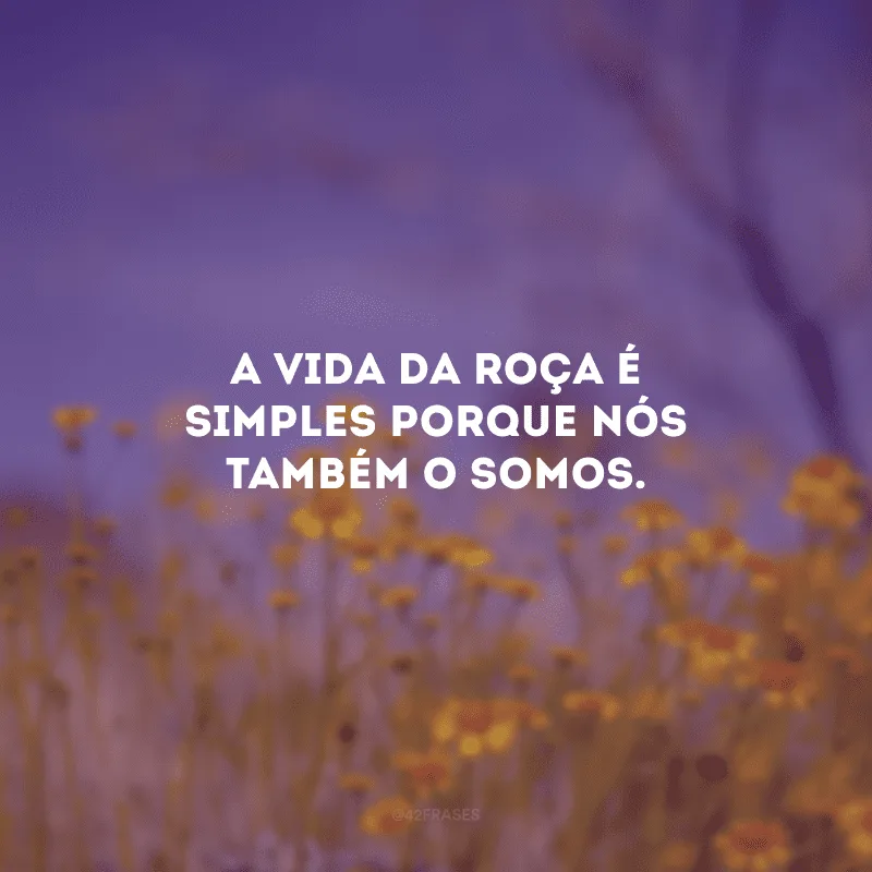 A vida da roça é simples porque nós também o somos.
