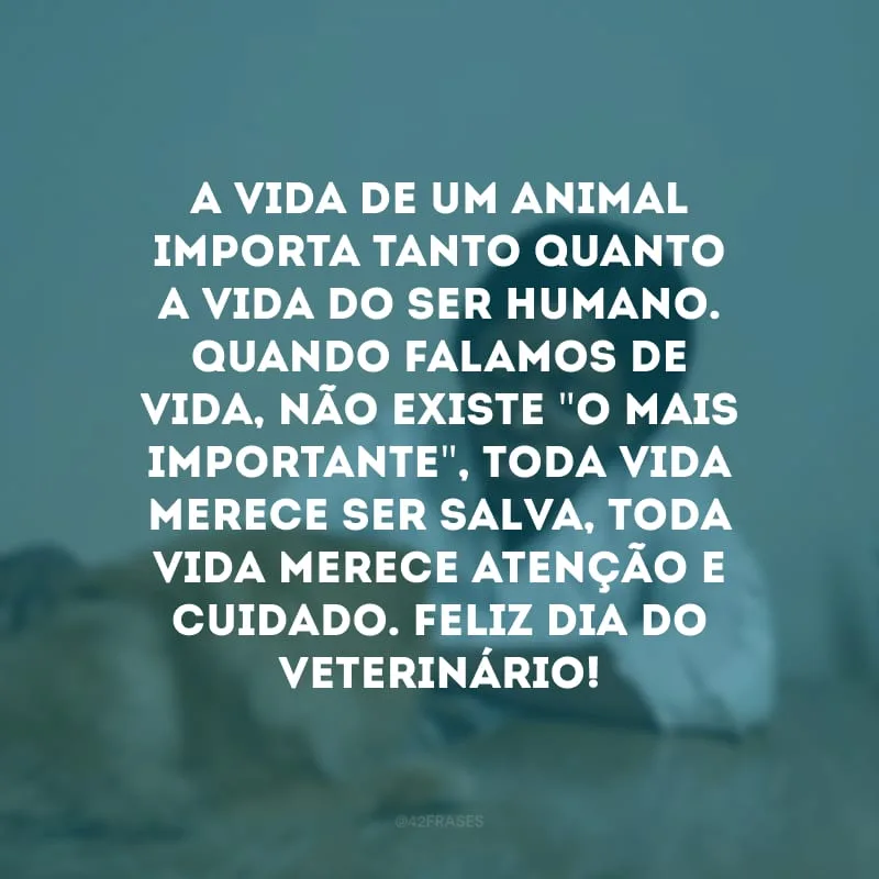 A vida de um animal importa tanto quanto a vida do ser humano. Quando falamos de vida, não existe \"o mais importante\", toda vida merece ser salva, toda vida merece atenção e cuidado. Feliz Dia do Veterinário! 