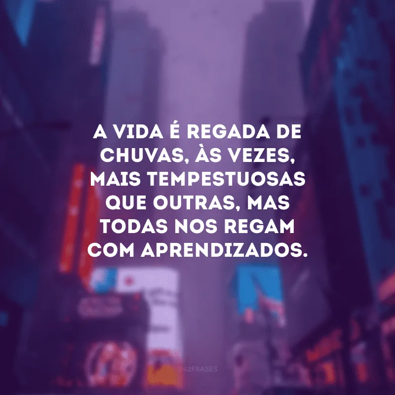 A vida nos juntou e depois nos separou. Como eu gostaria que tivesse sido diferente! 