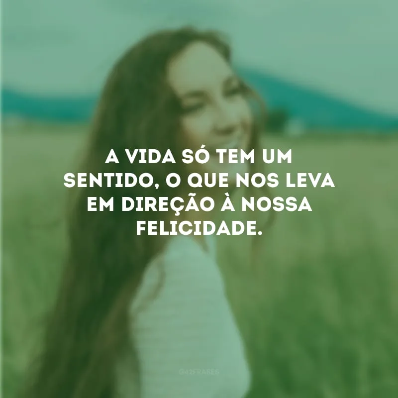 A vida só tem um sentido, o que nos leva em direção à nossa felicidade.