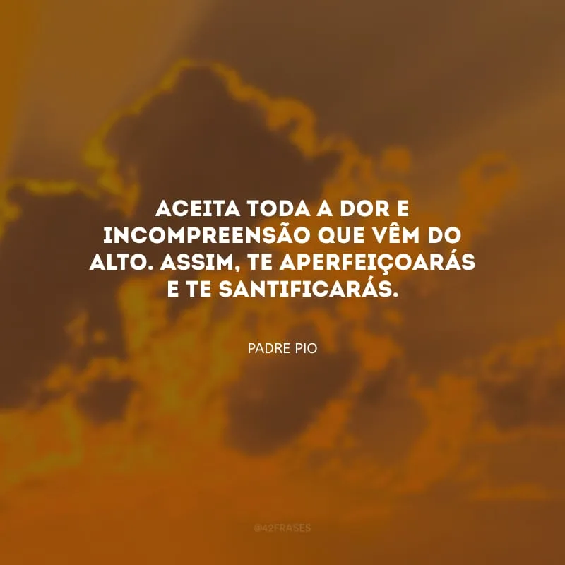 Aceita toda a dor e incompreensão que vêm do Alto. Assim, te aperfeiçoarás e te santificarás.