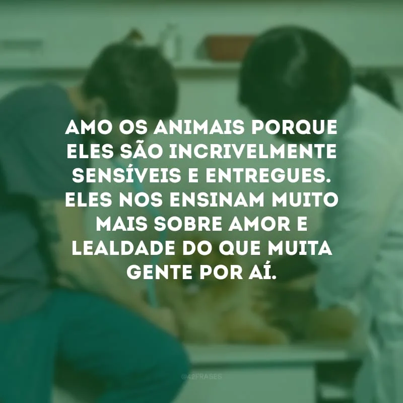 Amo os animais porque eles são incrivelmente sensíveis e entregues. Eles nos ensinam muito mais sobre amor e lealdade do que muita gente por aí. 