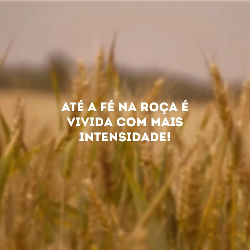 Até a fé na roça é vivida com mais intensidade!
