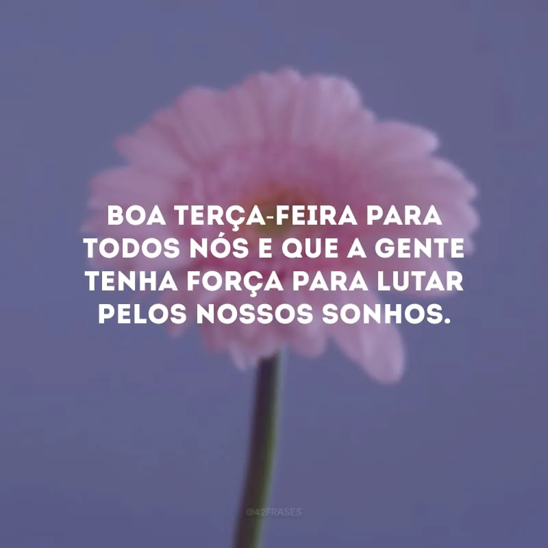 Boa terça-feira para todos nós e que a gente tenha força para lutar pelos nossos sonhos.