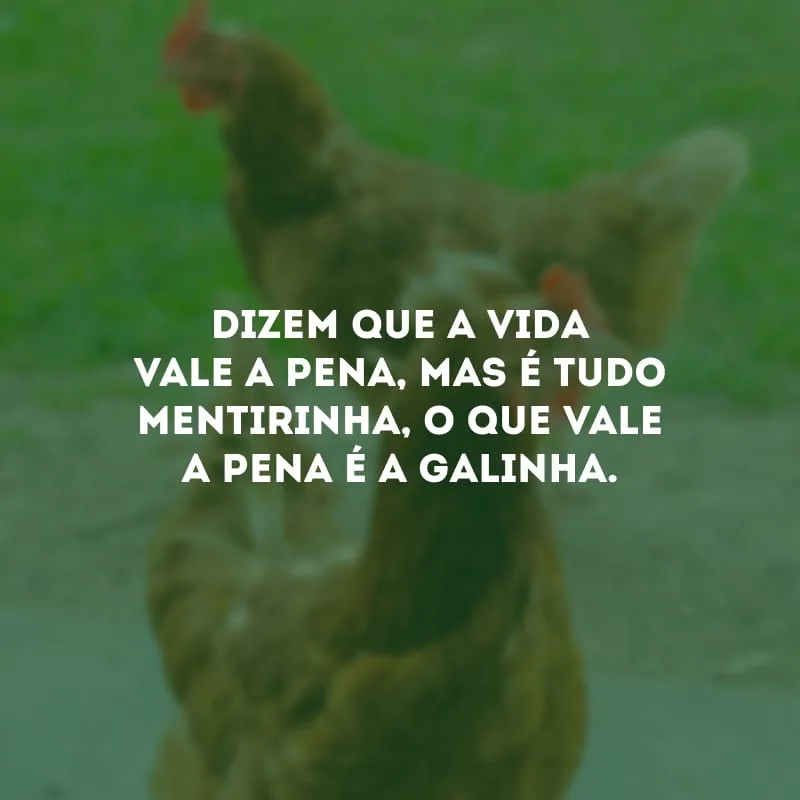 Dizem que a vida vale a pena, mas é tudo mentirinha, o que vale a pena é a galinha.
