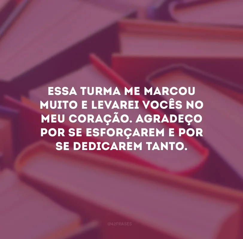 Essa turma me marcou muito e levarei vocês no meu coração. Agradeço por se esforçarem e por se dedicarem tanto.