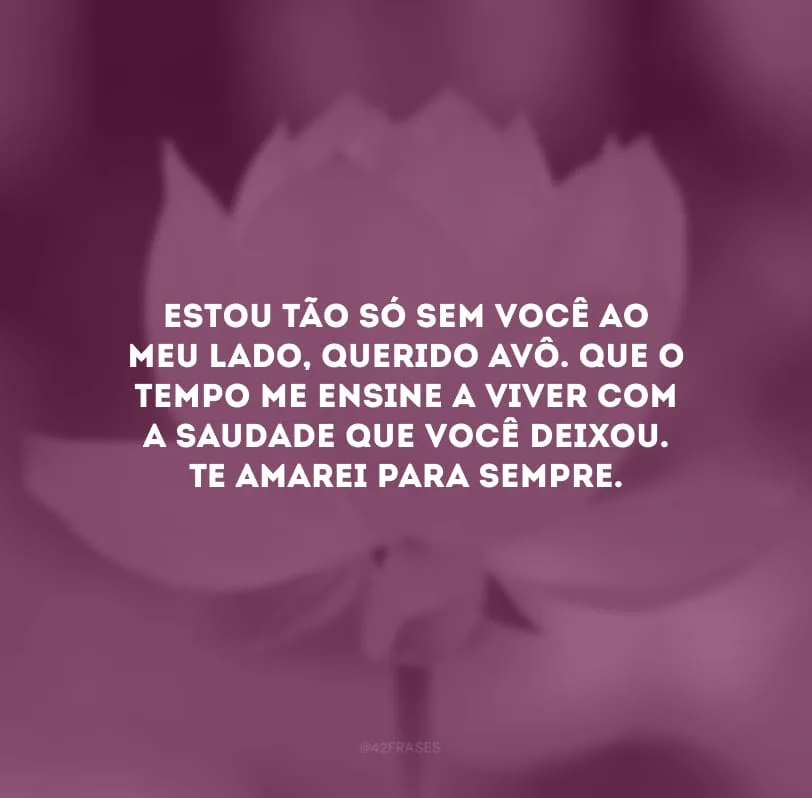 Estou tão só sem você ao meu lado, querido avô. Que o tempo me ensine a viver com a saudade que você deixou. Te amarei para sempre.