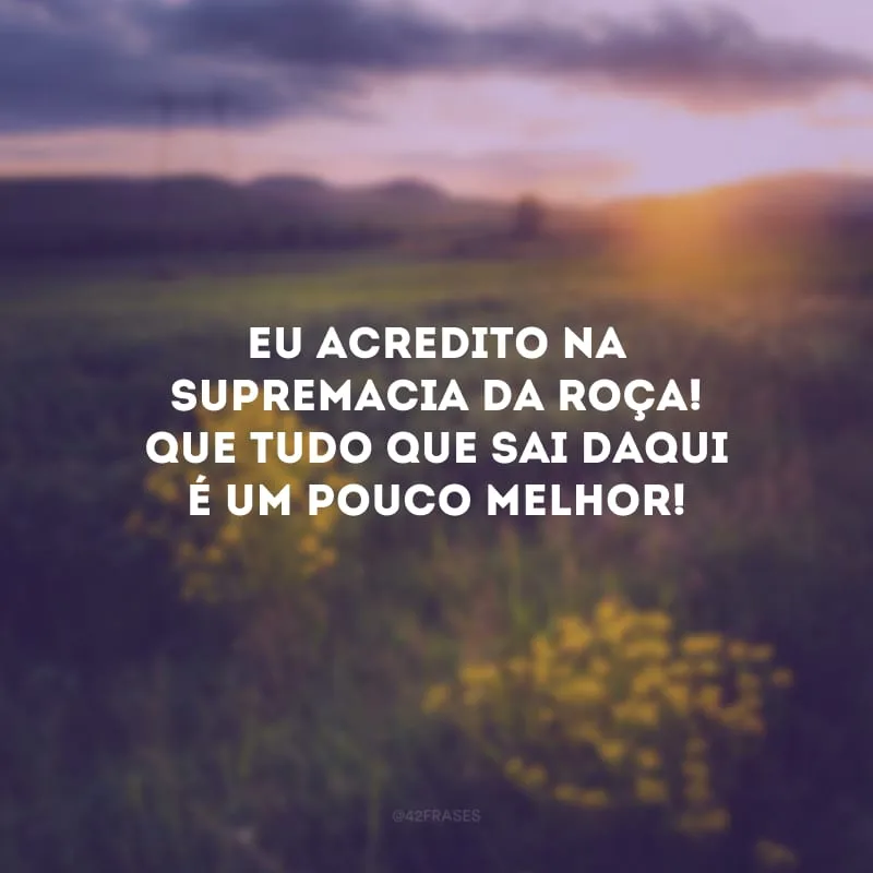 Eu acredito na supremacia da roça! Que tudo que sai daqui é um pouco melhor!