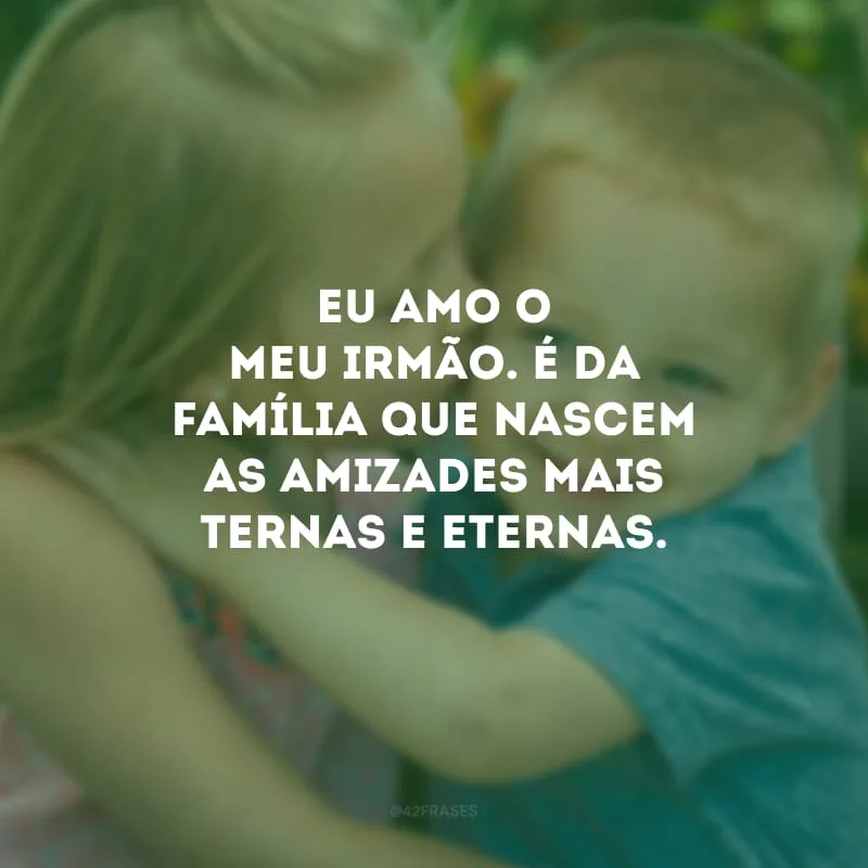 Eu amo o meu irmão. É da família que nascem as amizades mais ternas e eternas. 