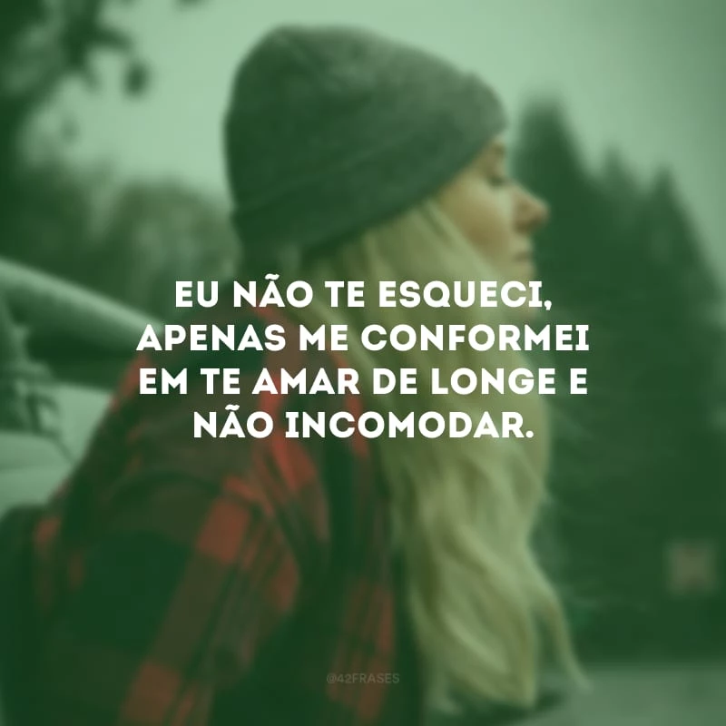 Eu não te esqueci, apenas me conformei em te amar de longe e não incomodar. 