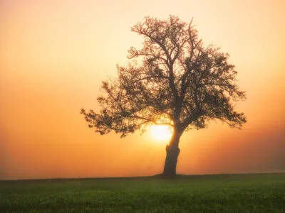 40 frases de início de mês que te animarão para um novo recomeço