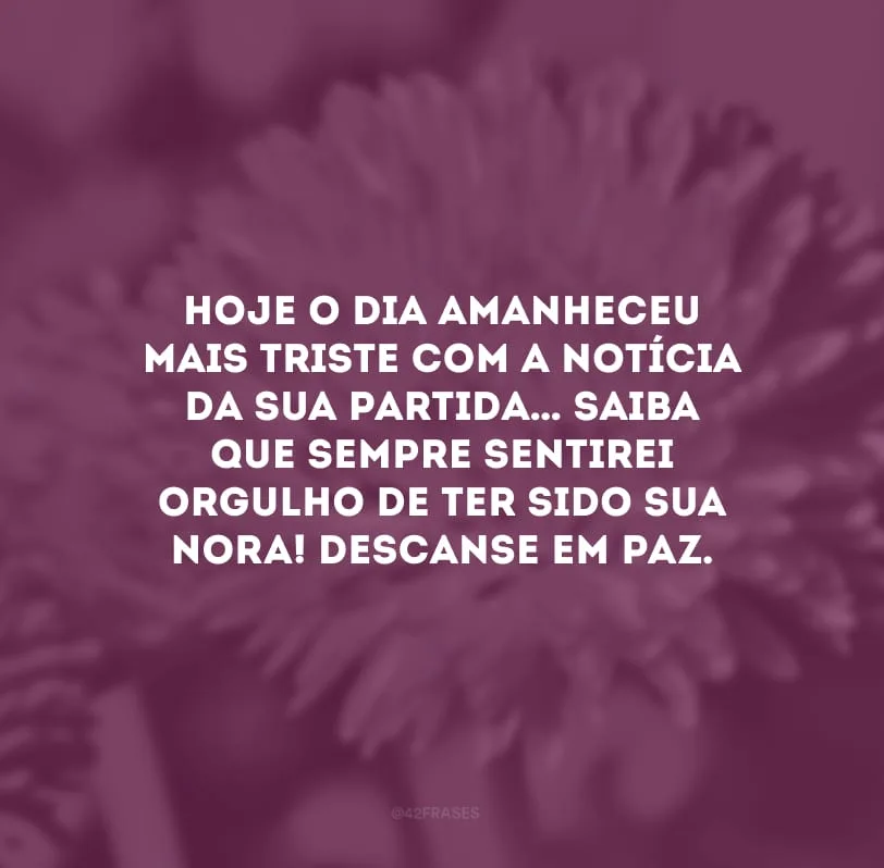 Hoje o dia amanheceu mais triste com a notícia da sua partida… Saiba que sempre sentirei orgulho de ter sido sua nora! Descanse em paz.
