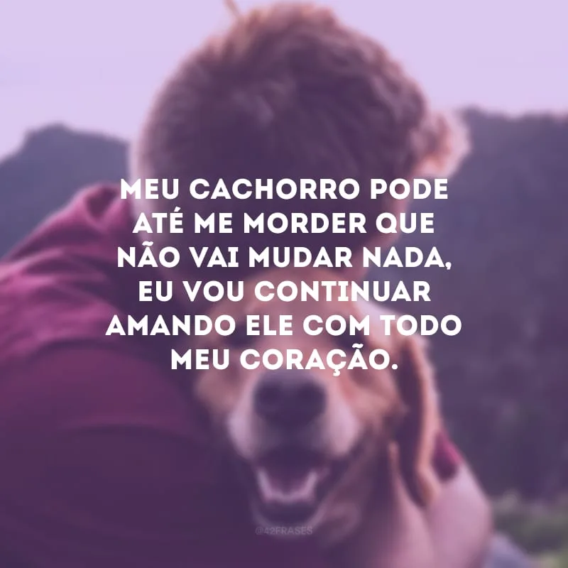 Meu cachorro pode até me morder que não vai mudar nada, eu vou continuar amando ele com todo meu coração.