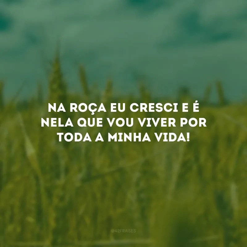 Na roça eu cresci e é nela que vou viver por toda a minha vida!