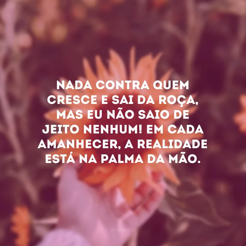 Nada contra quem cresce e sai da roça, mas eu não saio de jeito nenhum! Em cada amanhecer, a realidade está na palma da mão.