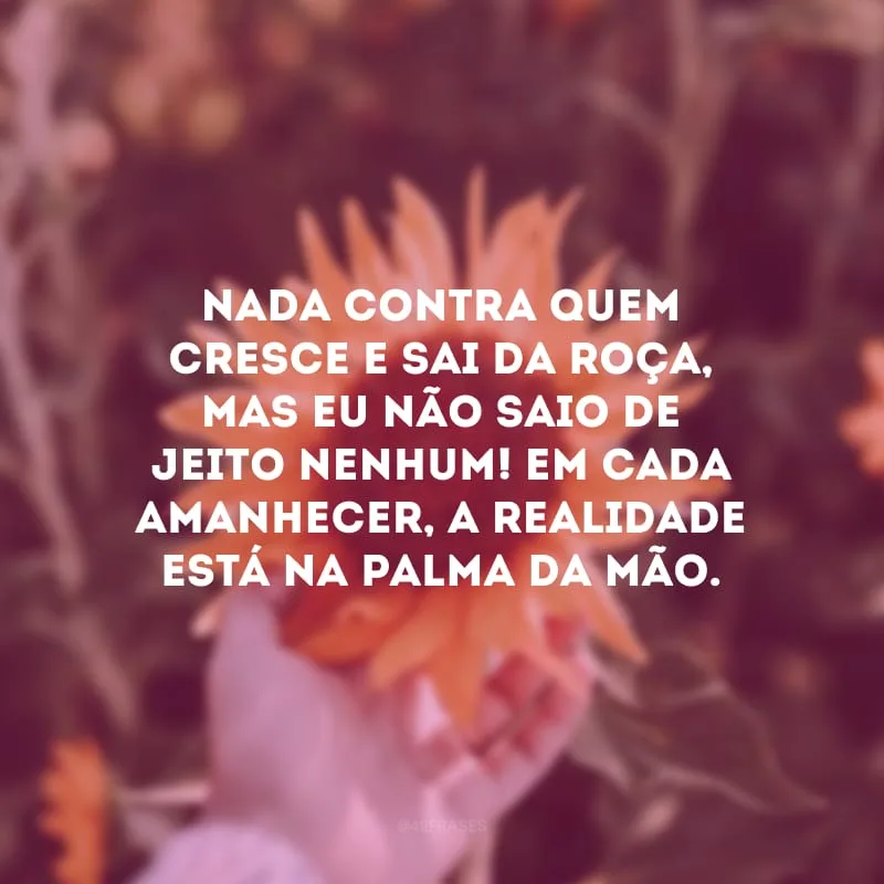 Nada contra quem cresce e sai da roça, mas eu não saio de jeito nenhum! Em cada amanhecer, a realidade está na palma da mão.