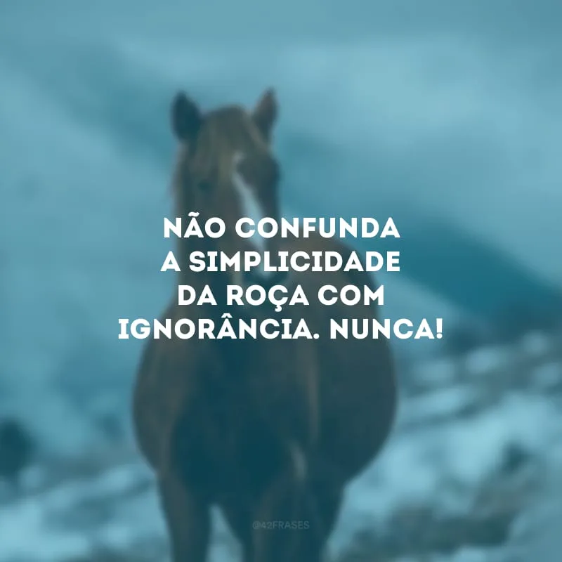 Não confunda a simplicidade da roça com ignorância. Nunca!
