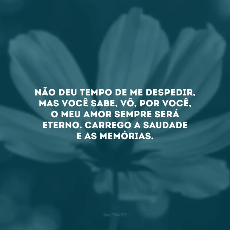 Não deu tempo de me despedir, mas você sabe, vô, por você, o meu amor sempre será eterno. Carrego a saudade e as memórias.