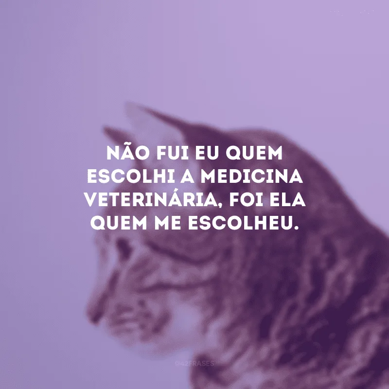 Não fui eu quem escolhi a medicina veterinária, foi ela quem me escolheu. 