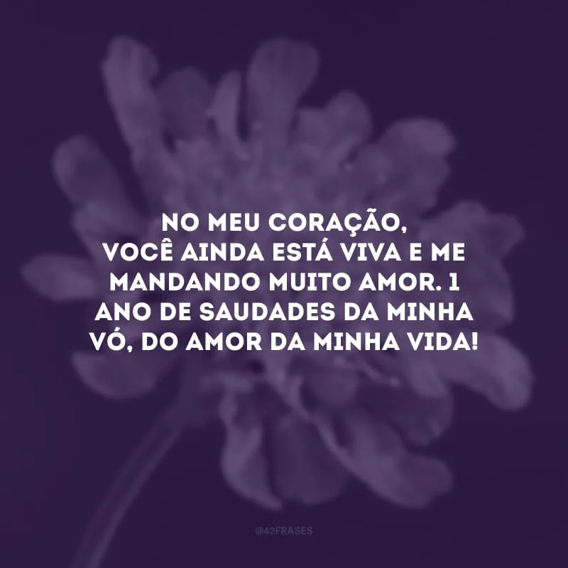 No meu coração, você ainda está viva e me mandando muito amor. 1 ano de saudades da minha vó, do amor da minha vida!