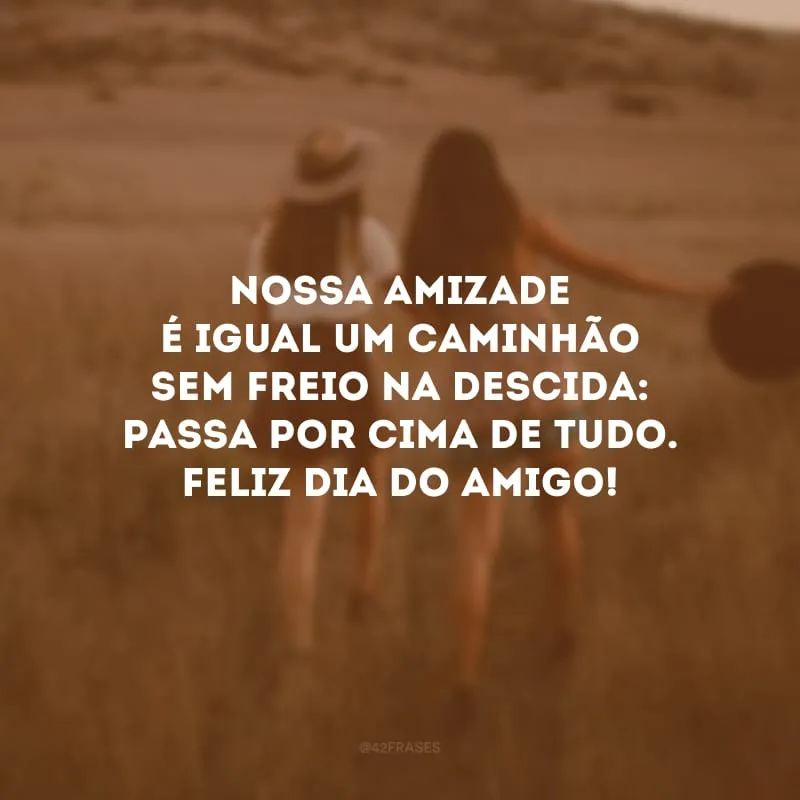 Nossa amizade é igual um caminhão sem freio na descida: passa por cima de tudo. Feliz Dia do Amigo!