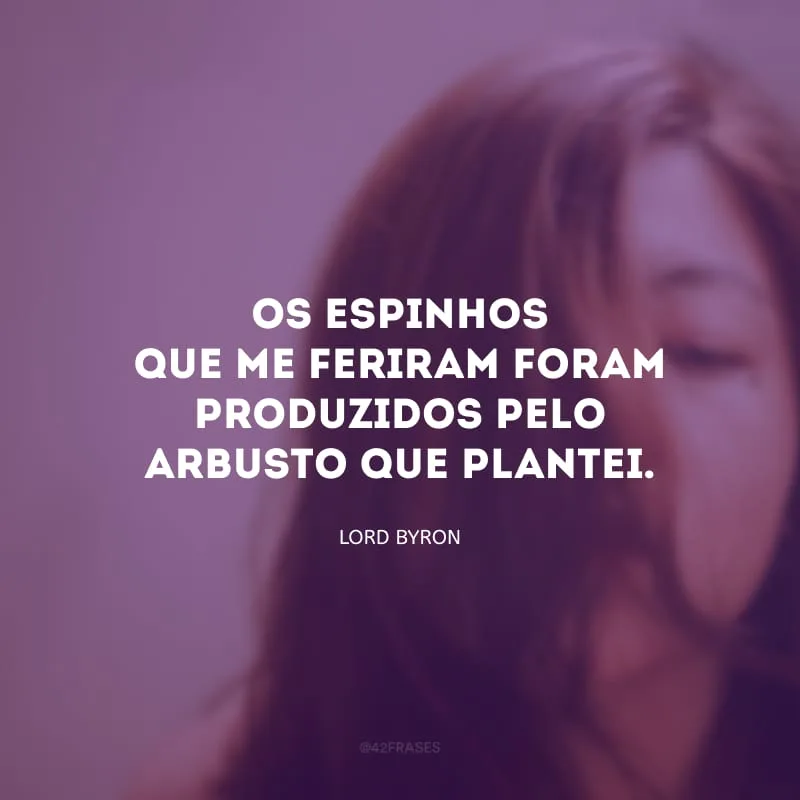 Os espinhos que me feriram foram produzidos pelo arbusto que plantei.