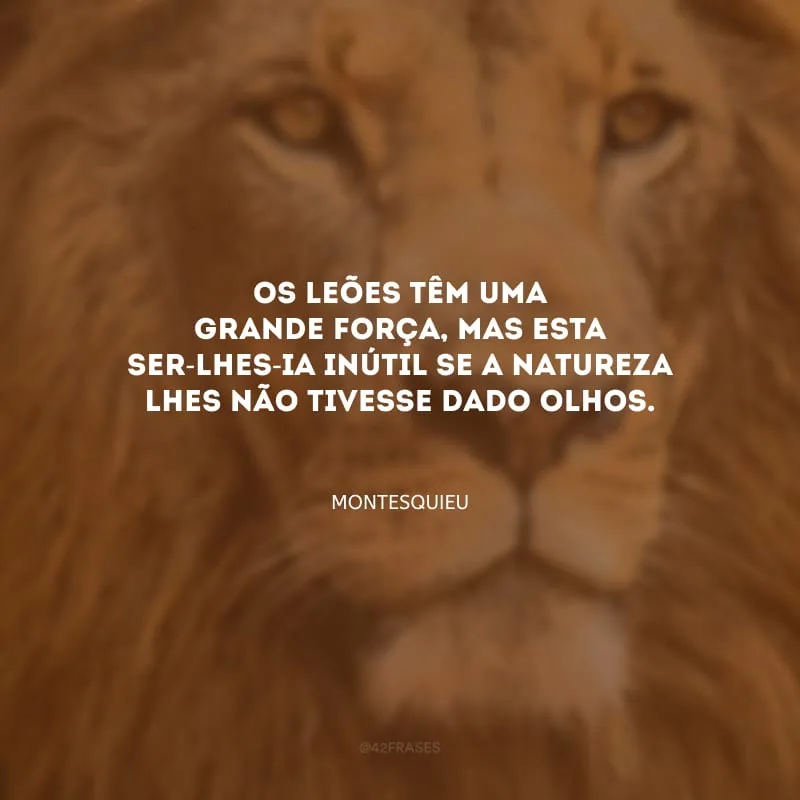 Os leões têm uma grande força, mas esta ser-lhes-ia inútil se a natureza lhes não tivesse dado olhos.