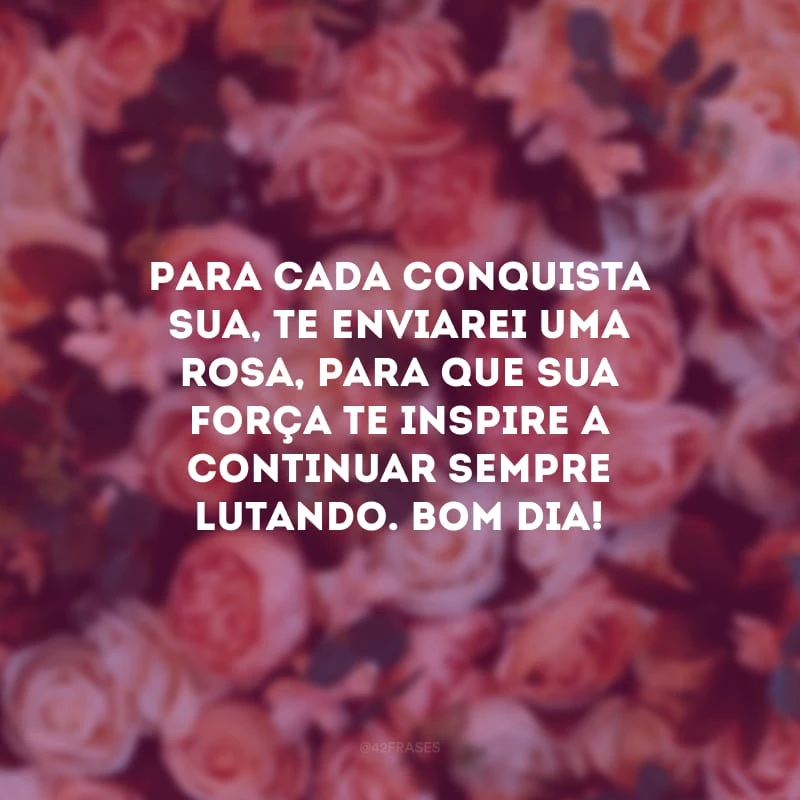 Para cada conquista sua, te enviarei uma rosa, para que sua força te inspire a continuar sempre lutando. Bom dia!