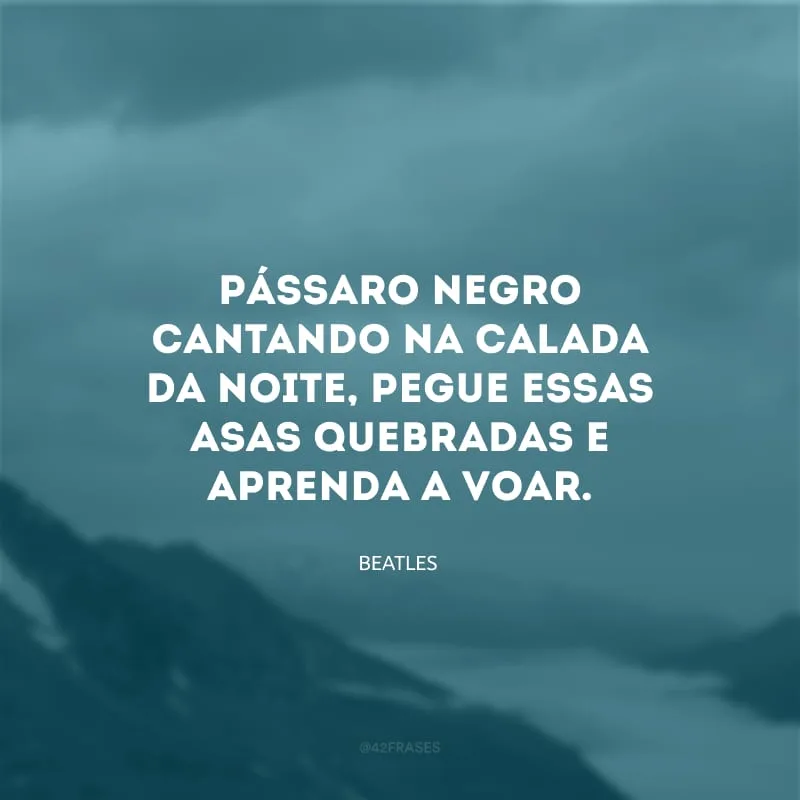 Pássaro negro cantando na calada da noite, pegue essas asas quebradas e aprenda a voar.
