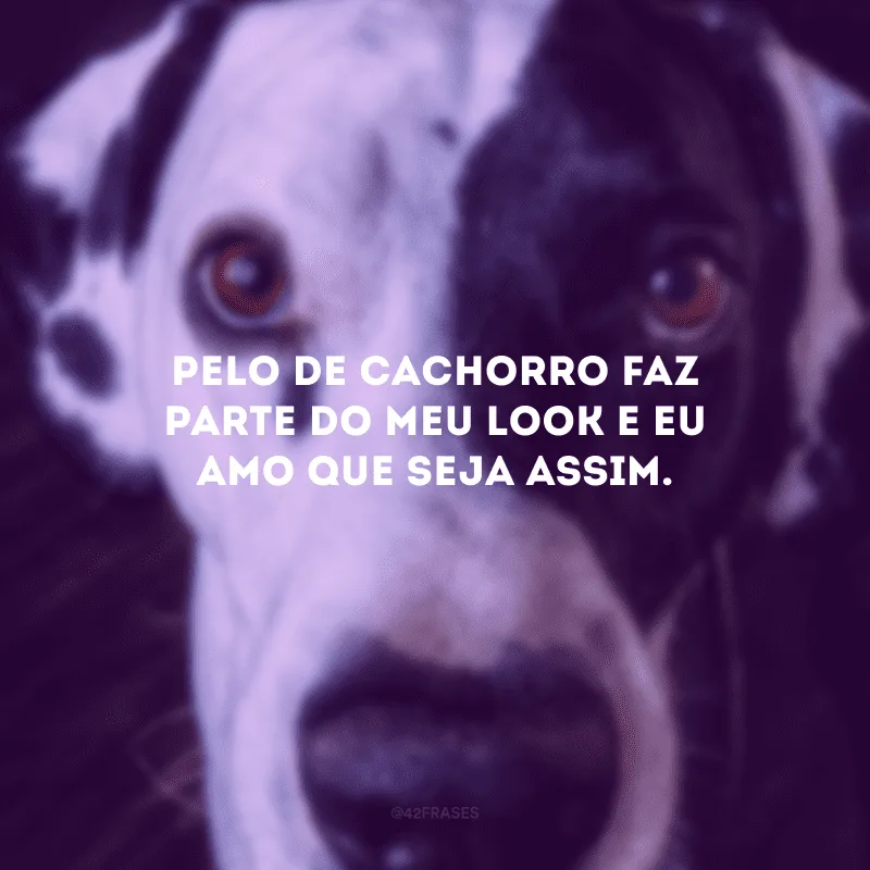 Pelo de cachorro faz parte do meu look e eu amo que seja assim.
