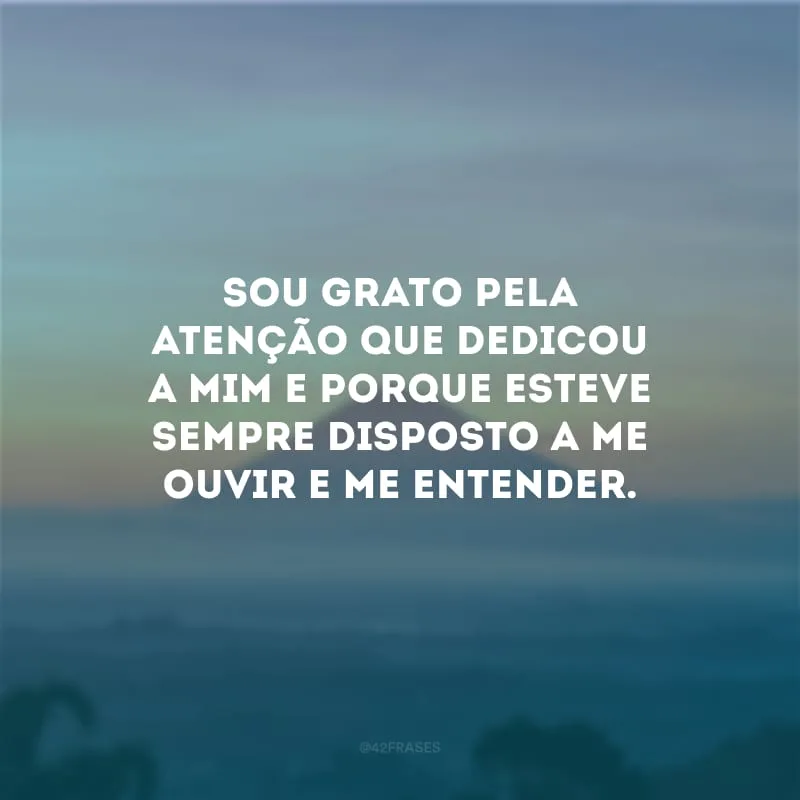 Sou grato pela atenção que dedicou a mim e porque esteve sempre disposto a me ouvir e me entender.