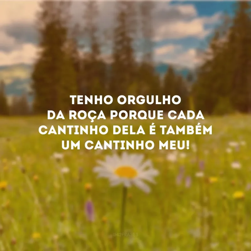 Tenho orgulho da roça porque cada cantinho dela é também um cantinho meu!