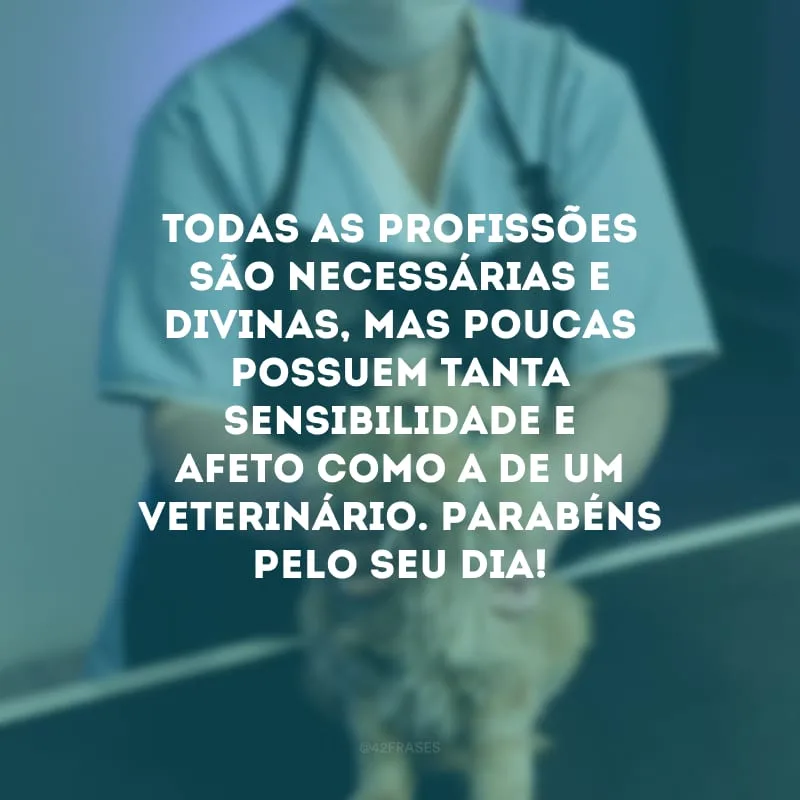 Todas as profissões são necessárias e divinas, mas poucas possuem tanta sensibilidade e afeto como a de um veterinário. Parabéns pelo seu dia! 