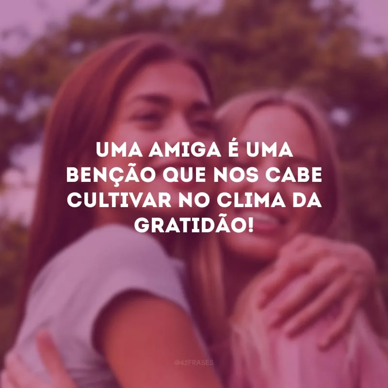 Uma amiga é uma benção que nos cabe cultivar no clima da gratidão!