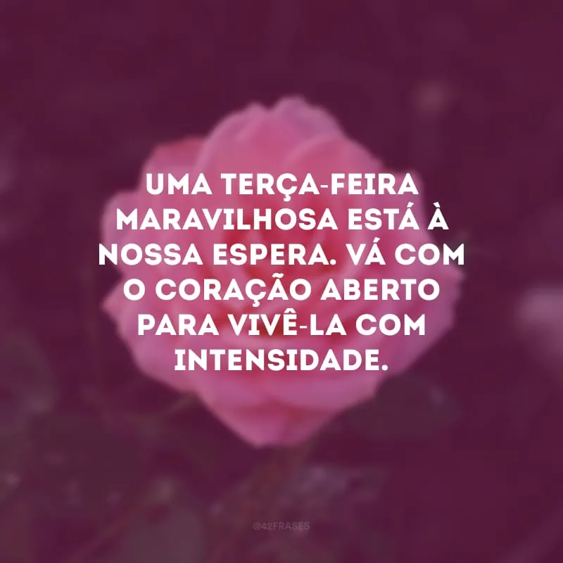Uma terça-feira maravilhosa está à nossa espera. Vá com o coração aberto para vivê-la com intensidade.