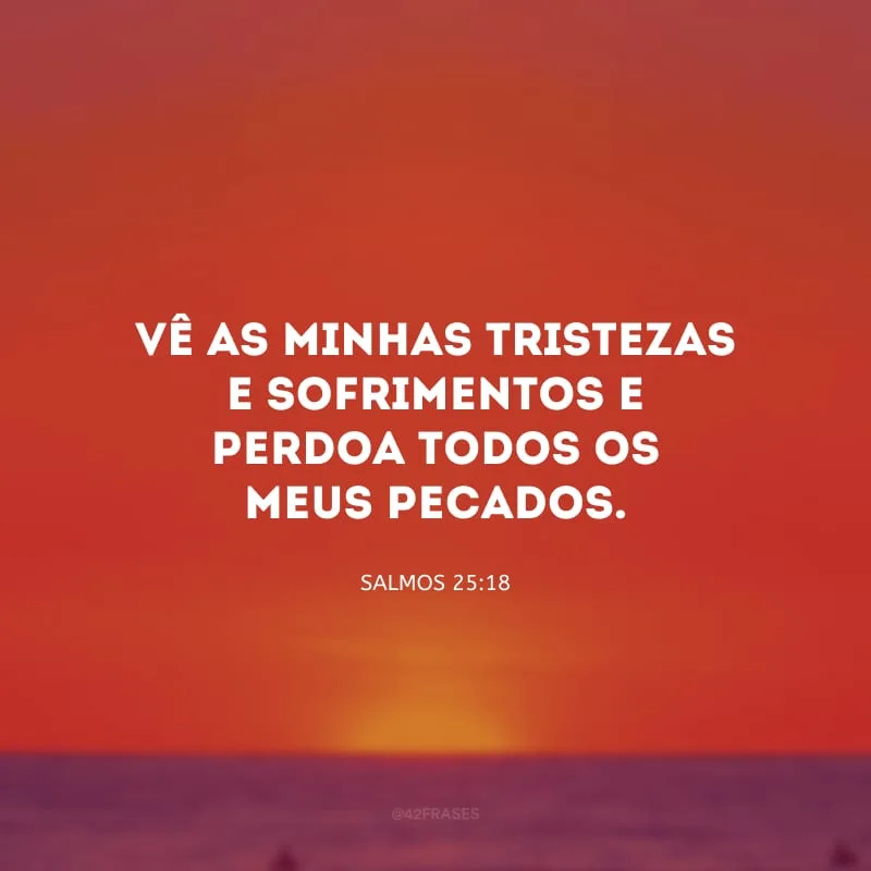 Vê as minhas tristezas e sofrimentos e perdoa todos os meus pecados.