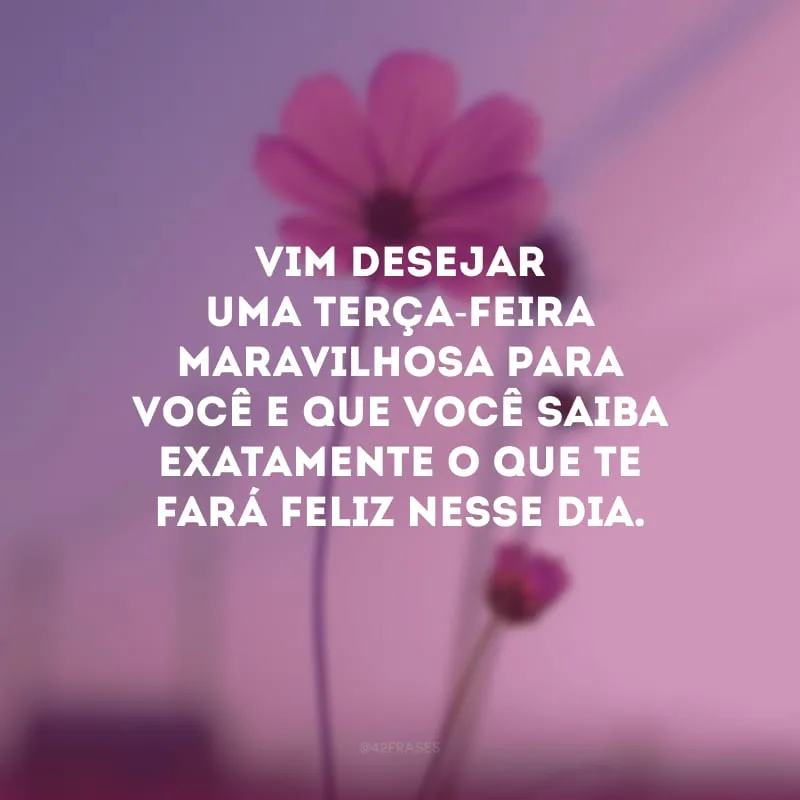 Vim desejar uma terça-feira maravilhosa para você e que você saiba exatamente o que te fará feliz nesse dia.