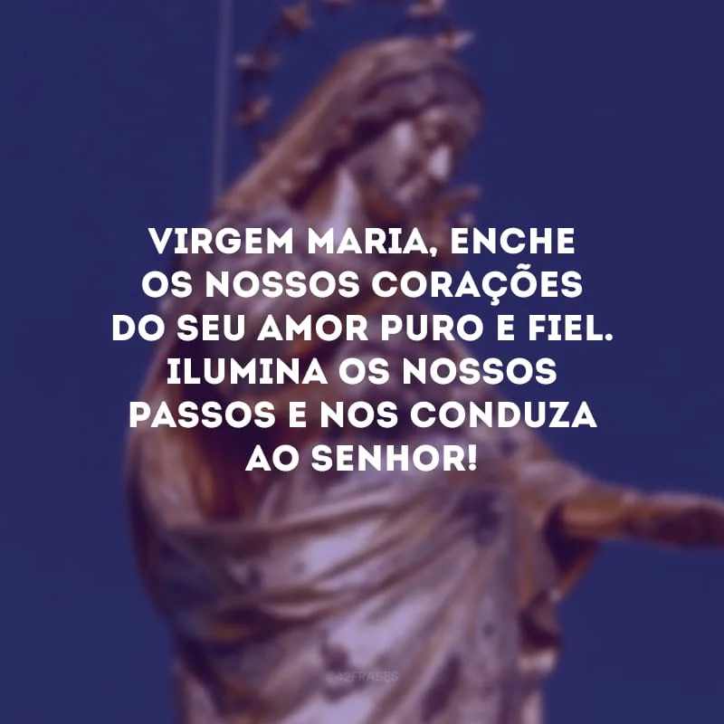 Virgem Maria, enche os nossos corações do seu amor puro e fiel. Ilumina os nossos passos e nos conduza ao Senhor! 